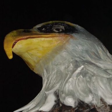 Acadêmicos de São Francisco