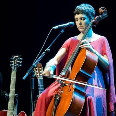 Adriana Calcanhotto photo 23