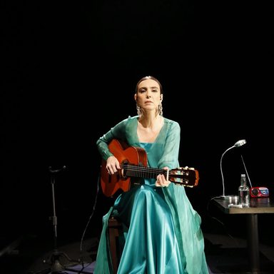 Adriana Calcanhotto photo 14