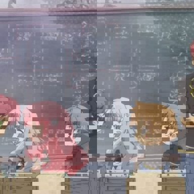 Baka To Test To Shoukanjuu photo 10