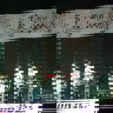 Banda Flor de Araçá