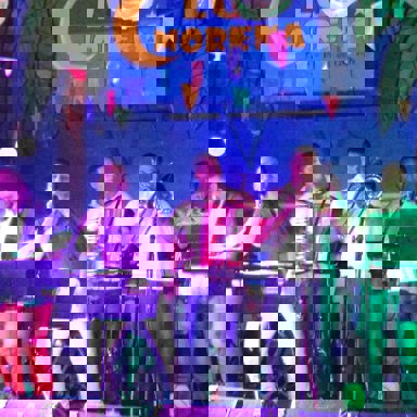 Banda Flor de Araçá