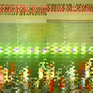 Banda Flor de Araçá