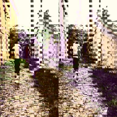 Banda Logout photo 11