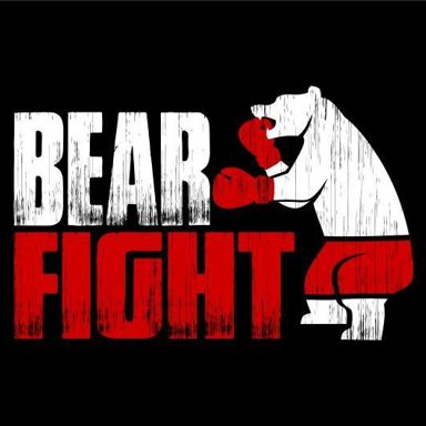 Bear Fight