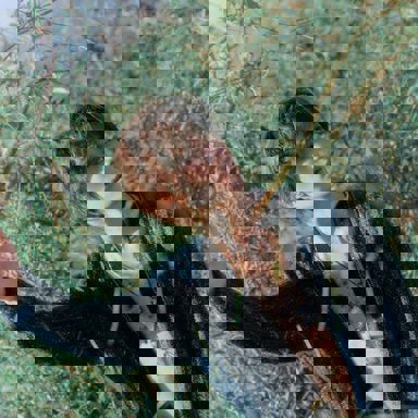 BEOMGYU (TXT) photo 13