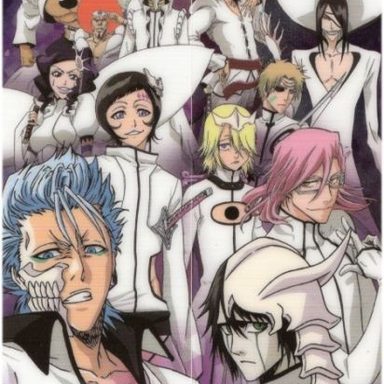 Bleach photo 60