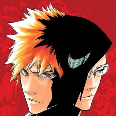 Bleach photo 18