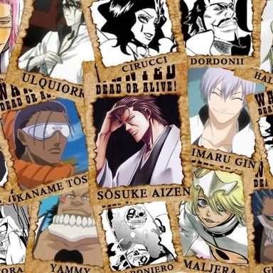 Bleach photo 61