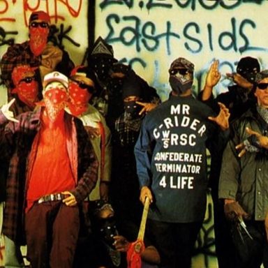 Bloods and Crips