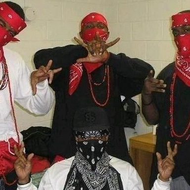 Bloods and Crips