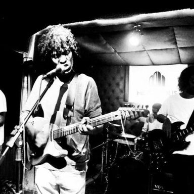 Boogarins