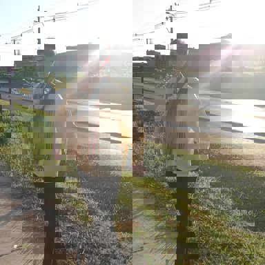 BRC Fusión y Ritmo photo 11