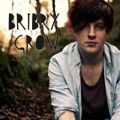 Bribry