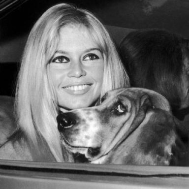 Brigitte Bardot photo 24
