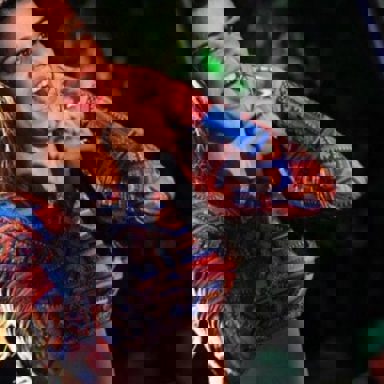 Babado Novo photo 11