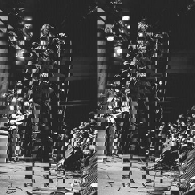 Baby Animals photo 9