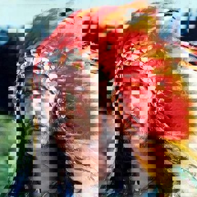 Barış Manço photo 10