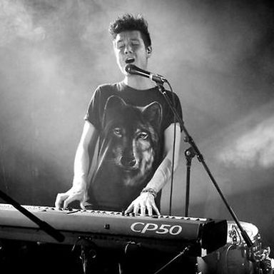Bastille photo 39