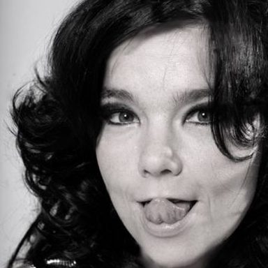 Björk photo 45