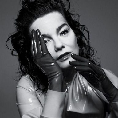 Björk photo 28