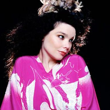 Björk photo 101