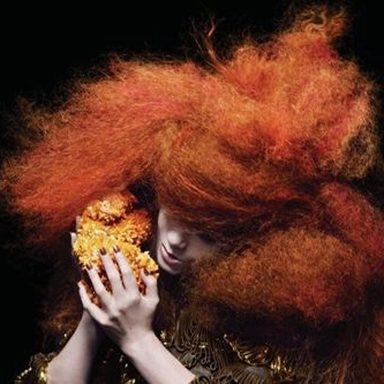 Björk photo 34