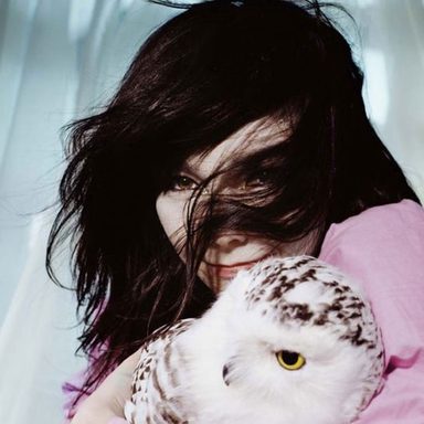 Björk photo 83
