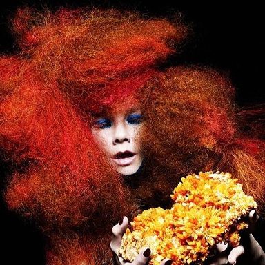 Björk photo 36