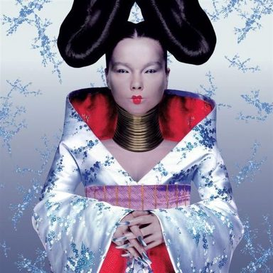 Björk photo 14