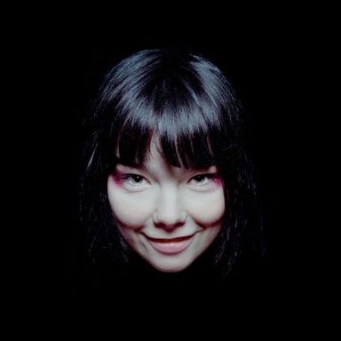 Björk photo 50