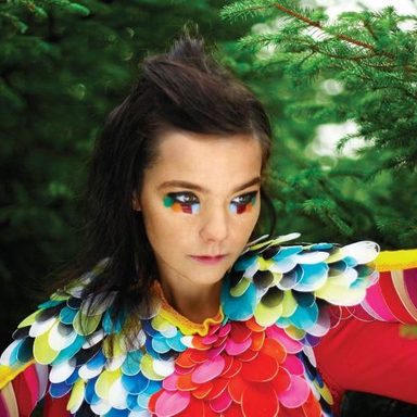 Björk photo 30
