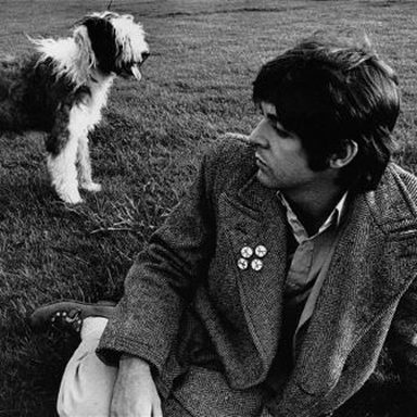 The Beatles photo 105