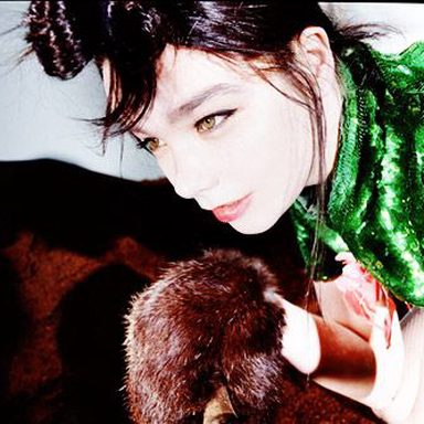 Björk photo 105
