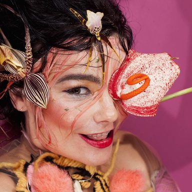 Björk photo 31