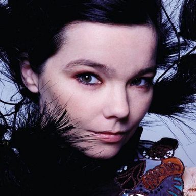 Björk photo 11