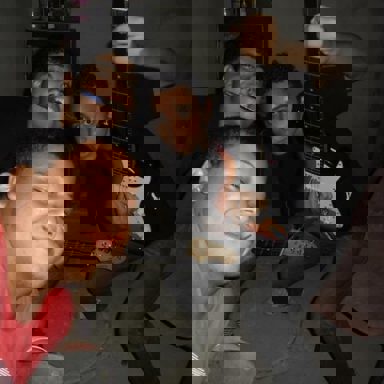 Cachorros no Telhado