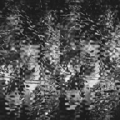 Cainã (Morador do Mato)