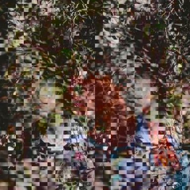 Cainã (Morador do Mato)