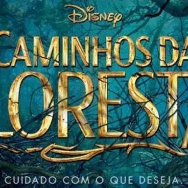 Caminhos da Floresta