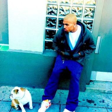 Chris Brown photo 38