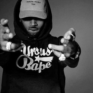 Chris Brown photo 28