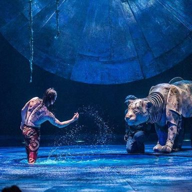 Cirque Du Soleil