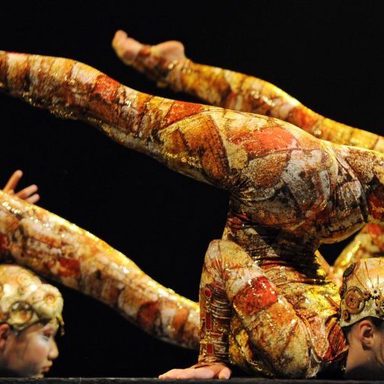 Cirque Du Soleil