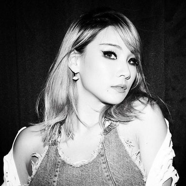 CL photo 39