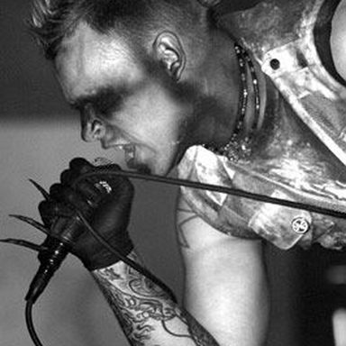 Combichrist
