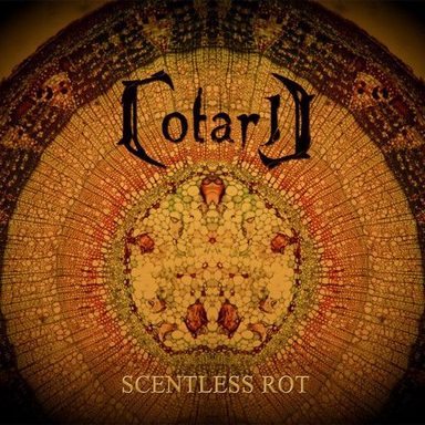 Cotard