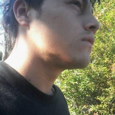 Coveiros da Baum