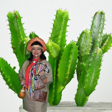 Cris Morais