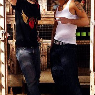 Calle 13